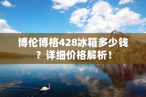 博伦博格428冰箱多少钱？详细价格解析！