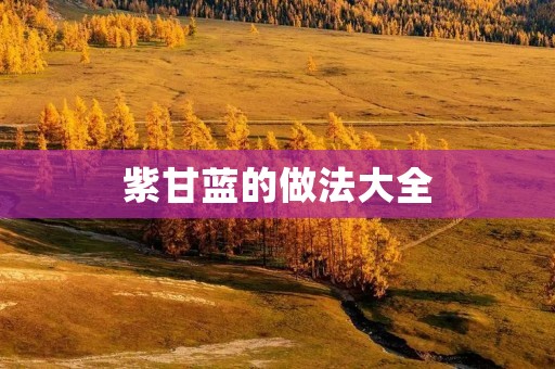 紫甘蓝的做法大全
