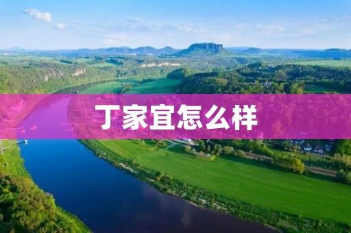 丁家宜怎么样