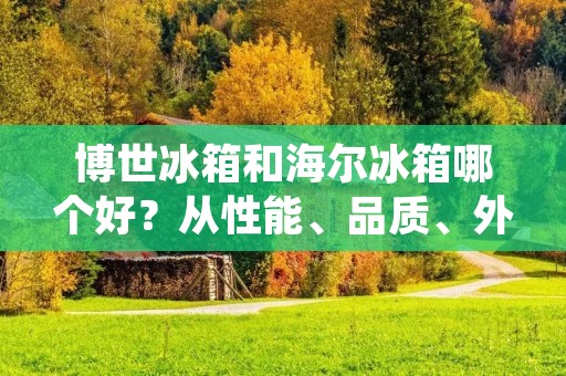 博世冰箱和海尔冰箱哪个好？从性能、品质、外观和价格等方面进行详细比较