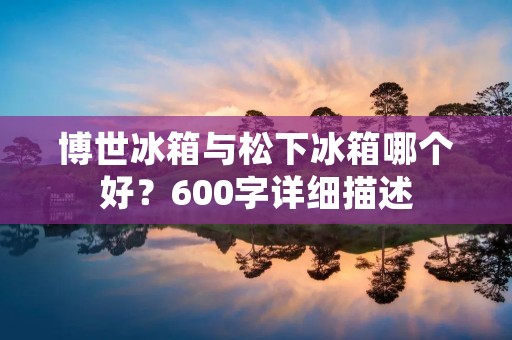 博世冰箱与松下冰箱哪个好？600字详细描述