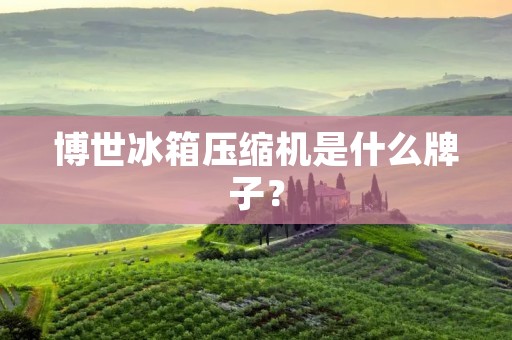 博世冰箱压缩机是什么牌子？