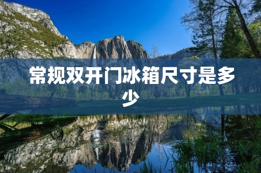 常规**门冰箱尺寸是多少