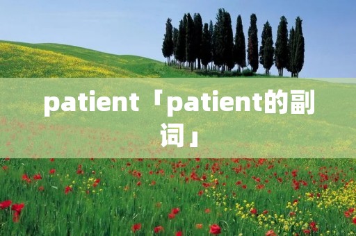patient「patient的副词」