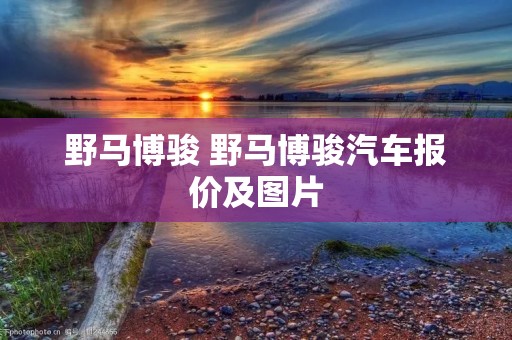 野马博骏 野马博骏汽车报价及图片 野马博骏 野马博骏汽车报价及图片
