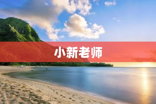 小新老师:用心教育,成就未来