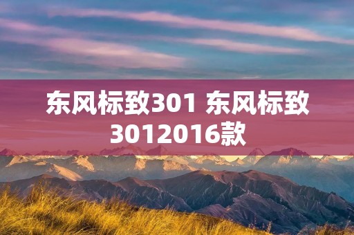东风标致301 东风标致3012016款