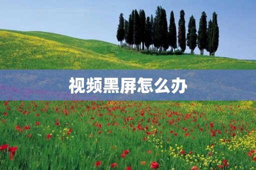 视频黑屏怎么办