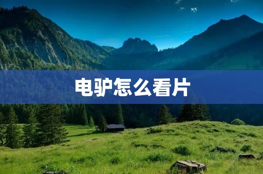 电驴怎么看片