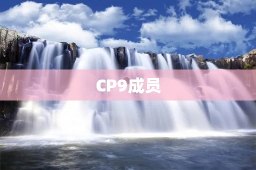 CP9成员:暴力与谋略的完美结合