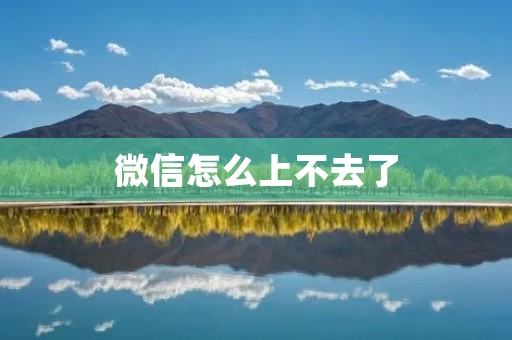 微信怎么上不去了