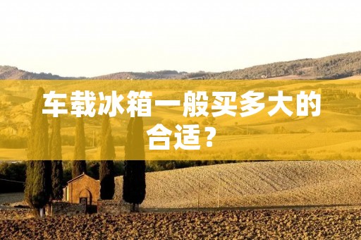 车载冰箱一般买多大的合适？
