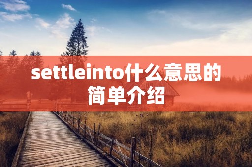 settleinto什么意思的简单介绍