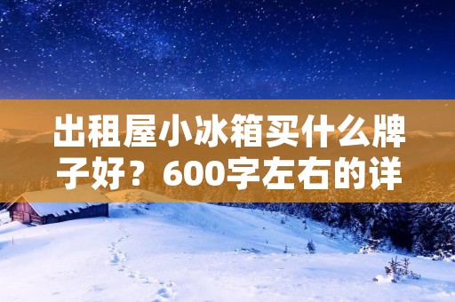 出租屋小冰箱买什么牌子好？600字左右的详细描述