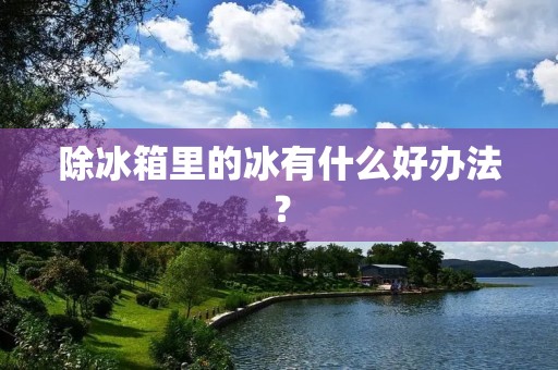 除冰箱里的冰有什么好办法？