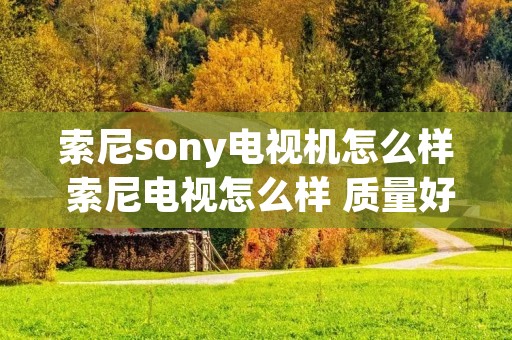 索尼sony电视机怎么样 索尼电视怎么样 质量好吗