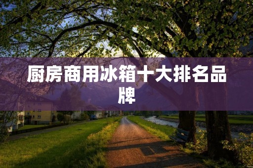 厨房商用冰箱十大排名品牌：选购指南及推荐