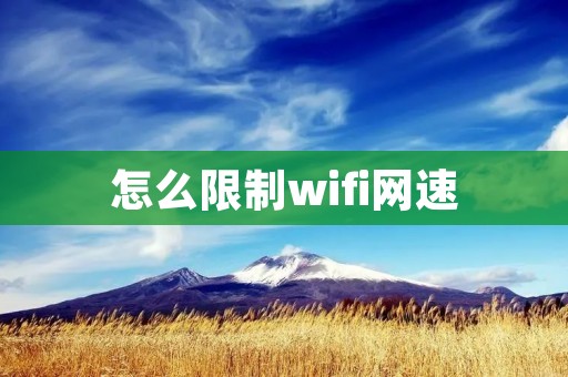 怎么限制wifi网速