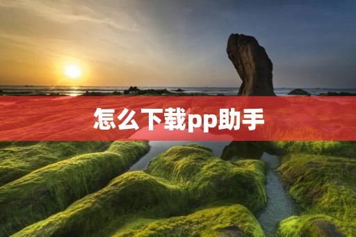 怎么下载pp助手