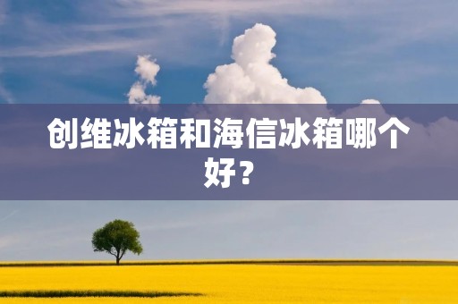 创维冰箱和海信冰箱哪个好? 创维冰箱和海信冰箱哪个好?