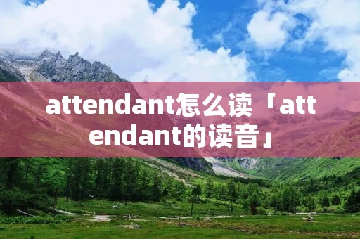 attendant怎么读「attendant的读音」