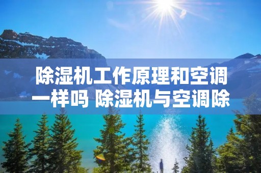 除湿机工作原理和空调一样吗 除湿机与空调除湿