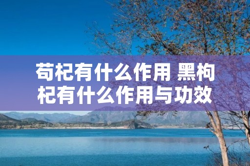 苟杞有什么作用 黑枸杞有什么作用与功效