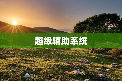 超级辅助系统:提升工作效率的利器