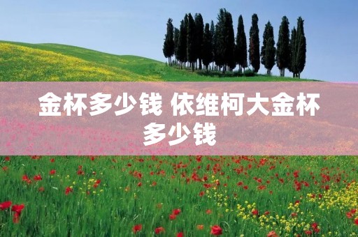 金杯多少钱 依维柯大金杯多少钱 金杯多少钱 依维柯大金杯多少钱