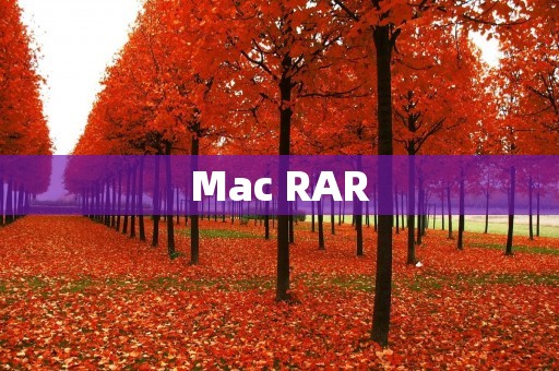 Mac RAR:轻松解压缩和打包文件的必备工具