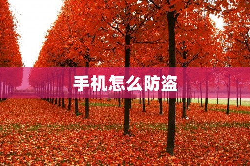 手机怎么防盗