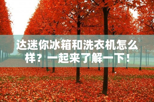 达迷你冰箱和洗衣机怎么样？一起来了解一下！