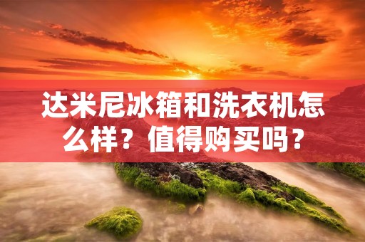 达米尼冰箱和洗衣机怎么样？值得购买吗？