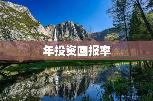 年投资回报率:如何评估和提高投资收益