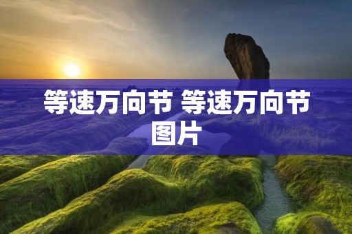 等速万向节 等速万向节图片 等速万向节 等速万向节图片