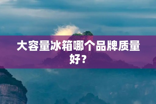 大容量冰箱哪个品牌质量好? 大容量冰箱哪个品牌质量好?