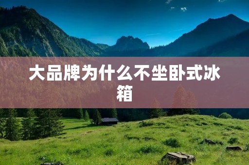 大品牌为什么不坐卧式冰箱 大品牌为什么不坐卧式冰箱