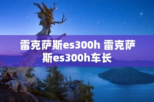 雷克萨斯es300h 雷克萨斯es300h车长