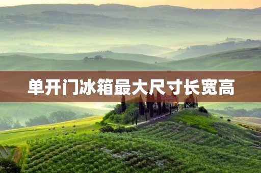 单开门冰箱最大尺寸长宽高：满足您的大容量需求