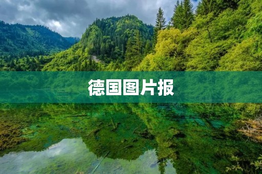 德国图片报:记录德国历史与文化的窗口