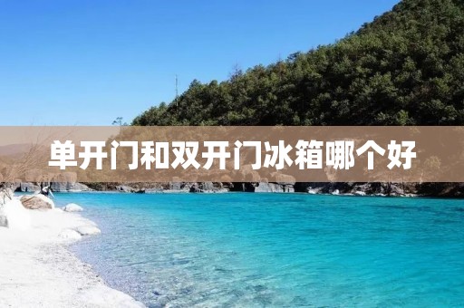 单开门和**门冰箱哪个好