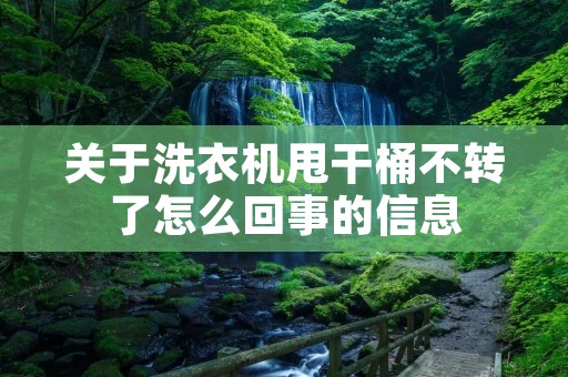 关于洗衣机甩干桶不转了怎么回事的信息