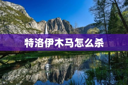 特洛伊木马怎么杀