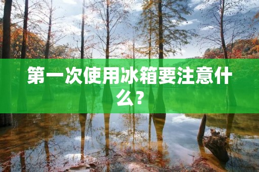 第一次使用冰箱要注意什么？