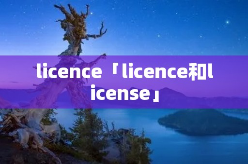 licence「licence和license」