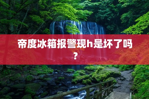 帝度冰箱报警现h是坏了吗? 帝度冰箱报警现h是坏了吗?