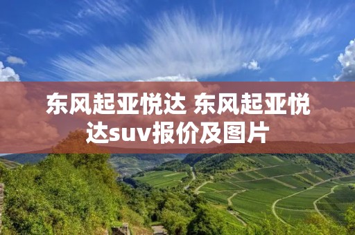 东风起亚悦达 东风起亚悦达suv报价及图片