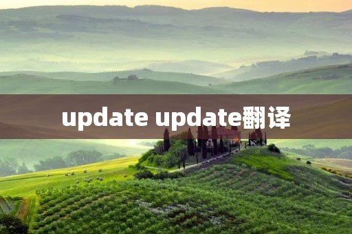 update update翻译