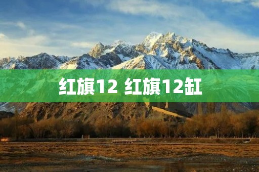 红旗12 红旗12缸 红旗12 红旗12缸