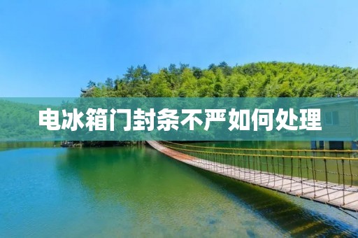 电冰箱门封条不严如何处理